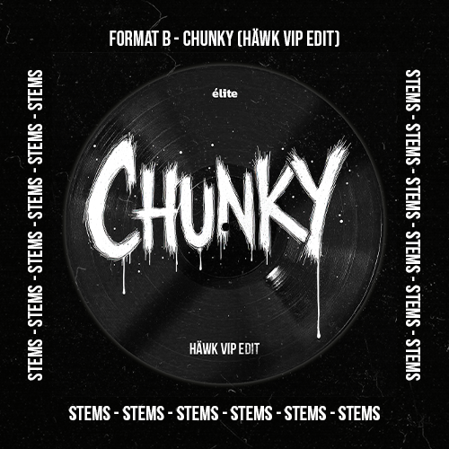 Format B - Chunky (HÄWK VIP Edit)(Stems Pack)