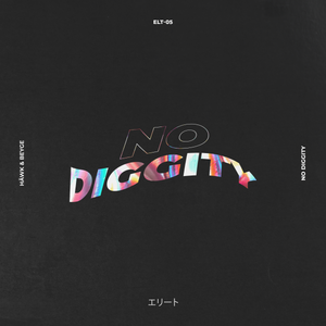 No Diggity (HÄWK & BEYGE VIP Edit)