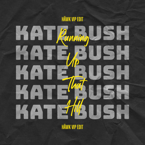 Kate Bush - Running Up That Hill (HÄWK VIP Edit)